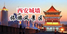 爆操白丝白虎中国陕西-西安城墙旅游风景区