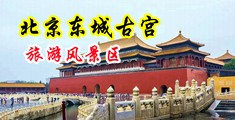 插入逼网中国北京-东城古宫旅游风景区